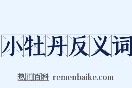 小牡丹反义词是什么意思的图片